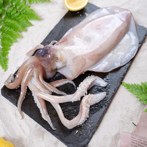 Mực Long Hải – 1KG