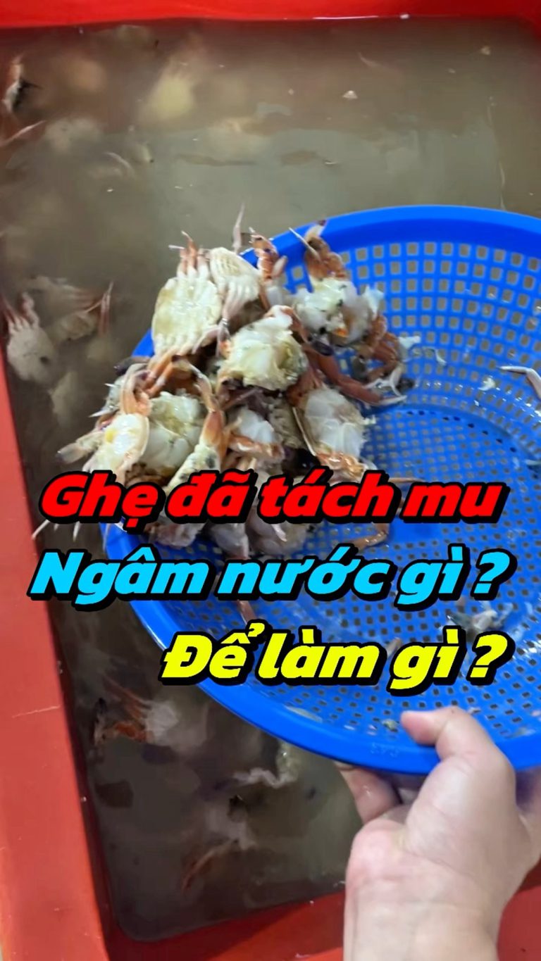 Quy trình xử lý ghẹ sau khi tách mai
